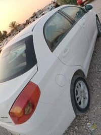 شيري فلاوين • ٢٠١٣ • كربلاء