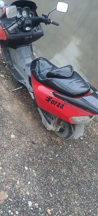 فورزه • ٢٠٠٦ • نضيف