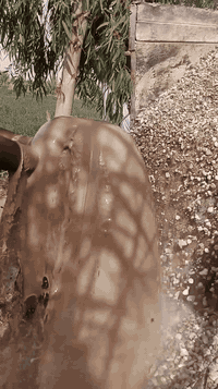 لحفر الابار الارتوازيه
يعلن عن حفر الابار بكافة الاحجام
غسل وتنشيف الابار 
حفر الركائز
حفر النقاط 
حفر وفحص التربه
وعمل كافه المقاولات العامه
نعمل في كافه محافضات العراق
دقه في العمل وسرعه في الانجاز
***********
***********
***********
