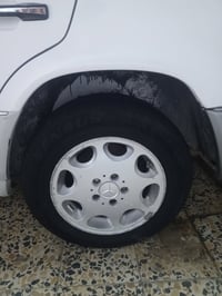 ورحمه الله طخم ويل ابو تفاحه معروض للمراوس 07729380071