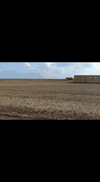 11 دانه للبيع شارع المنشاه قريبات عالشارع حيل حيل سعرهن مناسب *********** اي استفسار على الرقم
