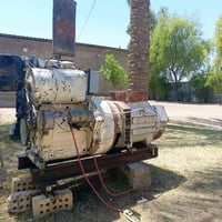 دويز الماني بستمين 912  المكان بغداد ابو غريب  07822774117 07519019097