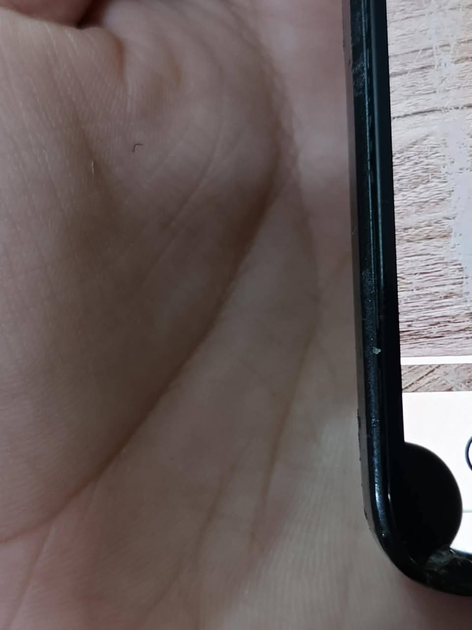 السلام عليكم بوكو اكس7برو ذاكره256 بطاريه96 بلادي فقط هاذي السواد ابد ميمشي بدون ملحقات مراوس بي ايفون فقط مكاني فلوجه


**إذا كنت صاحب هذا الإعلان وتريد حذفه لأي سبب، رجاءا أرسل رسالة إلى الدعم الفني**