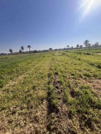 أرض زراعية • ٥ دوانم • فرع المصلخ القطعه الأولا