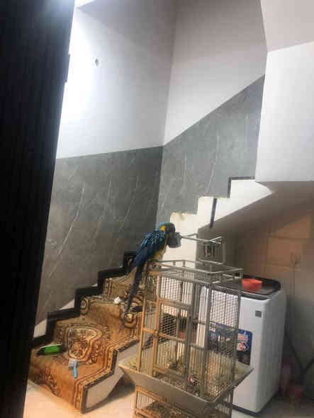 #اسعد_الله_اوقاتكم_بكل_خير

دار سكن للبيع بناء بلوك 

#مساحه:: كل دار 100 م

#العنوان:: البصرة أبو الخصيب منطقة طريق سيد حامدقرب معمل الشيخ
 
#جنس_العقار:: طابو مالك صرف زراعي عراقي سند 25 
وكاله و نسخ من الطابو و مكاتب 

#يحتوي:: كل بيت على 
غرف نوم و ديوان 
مطبخ و حمام 
داخلي و خارجي  
جميع الخدمات متوفره ماء كهرباء مدارس نت كلشي قريب على شارع 8 م 

#السعر ((البيتين 100 و بيهن مجال))
#اللاستفسار إلا تصال على الهاتف ☎️ 📞 
☎️((***********))☎️
محمد
