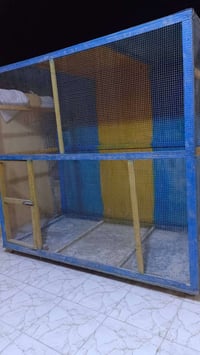 قفص • الخالص خويلص • واتساب