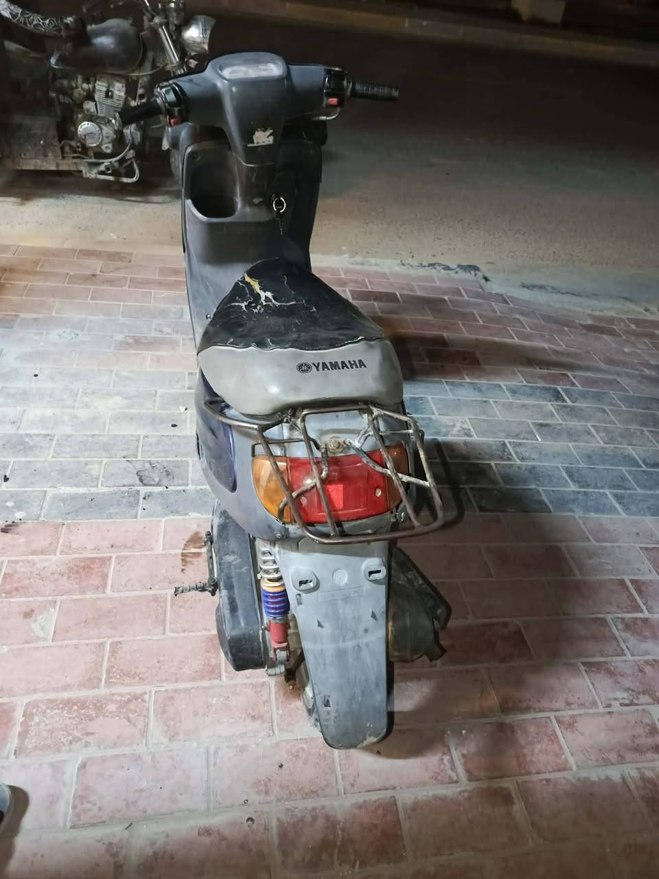 منغوليه للبيع شغاله سلف هندر الشراي يتصل ***********
