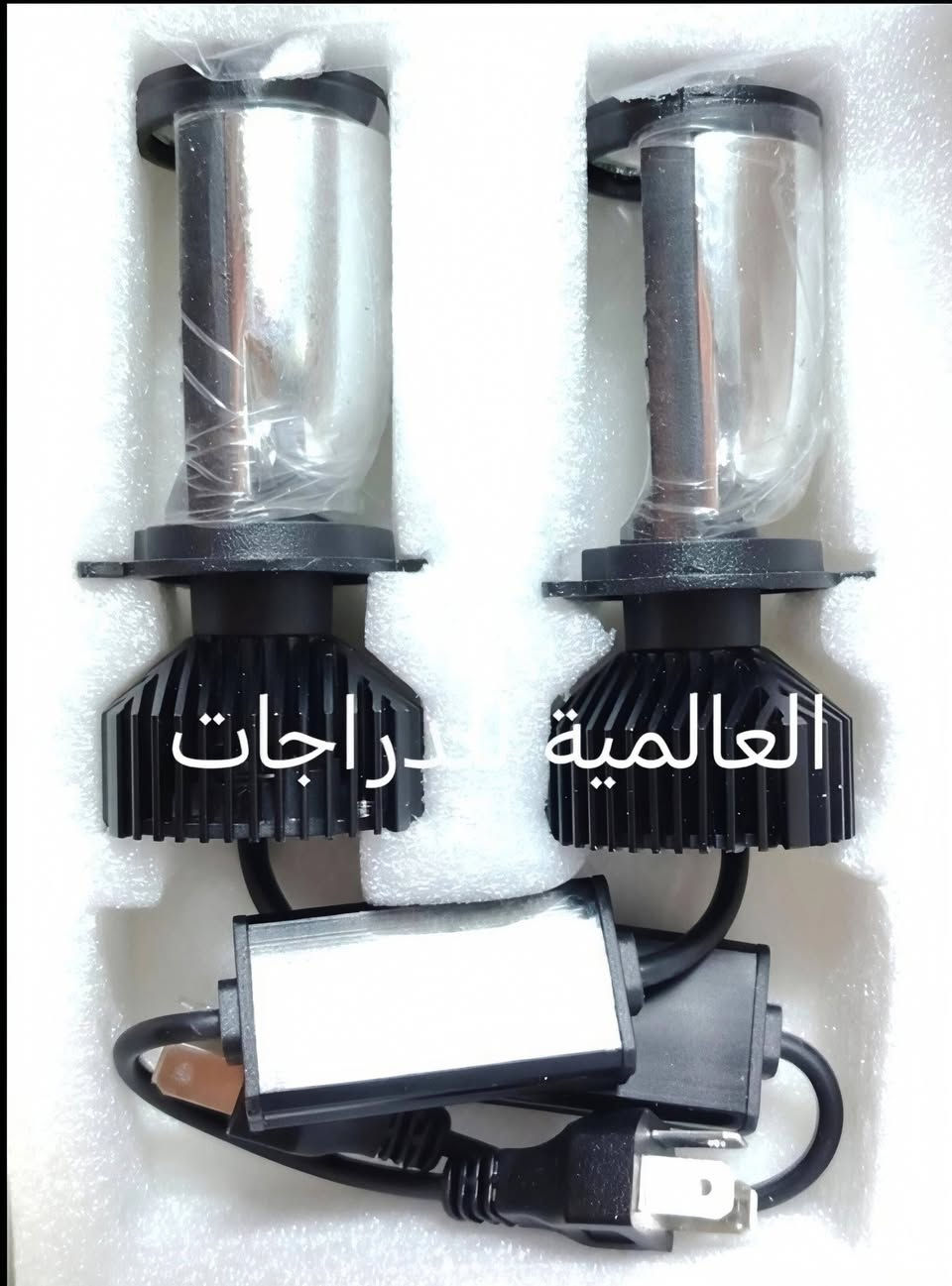 اسلام عليكم وجبة زنون فورزة اصلي
(جملة_مفرد)
للاستفسار خاص او  واتساب  او 
***********
او *********** 
 العنوان/بغداد/البياع/مقابيل قاعة اسطنبول 
*يوجد توصيل لجميع المحافظات
