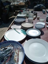 فرفوري الباله • حله مقابل الشط