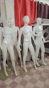 شلعة مليكانات عدد 10 السعر 150 الف  عنوان بغداد/ سوق بغداد الجديدة  ال...