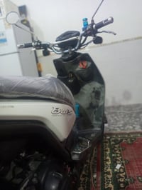 سكنس جبلي • مابيه نقص • كفاله