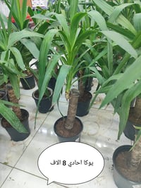 خدمة توصيل • أربيل • لكل المناطق