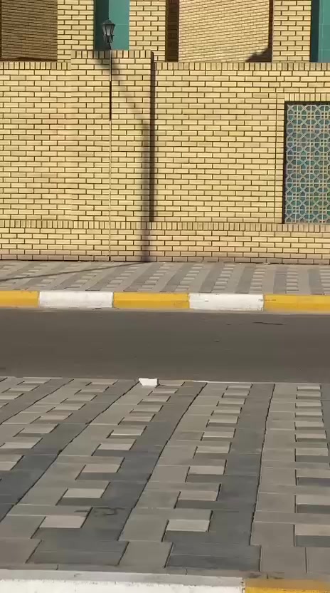 سلام عليكم شباب دراجه للبيع سكنز جبلي رياضي كلهه مزوده ودراجه ما مفتوحه ولونهه رصاصي و مغلفه كاربون فايبر كلجات ودبلات و ويل وستيرن رياضي دراجه اتشك الكاع السعر مليون و 650 ال شراي يراسل خاص


**إذا كنت صاحب هذا الإعلان وتريد حذفه لأي سبب، رجاءا أرسل رسالة إلى الدعم الفني**