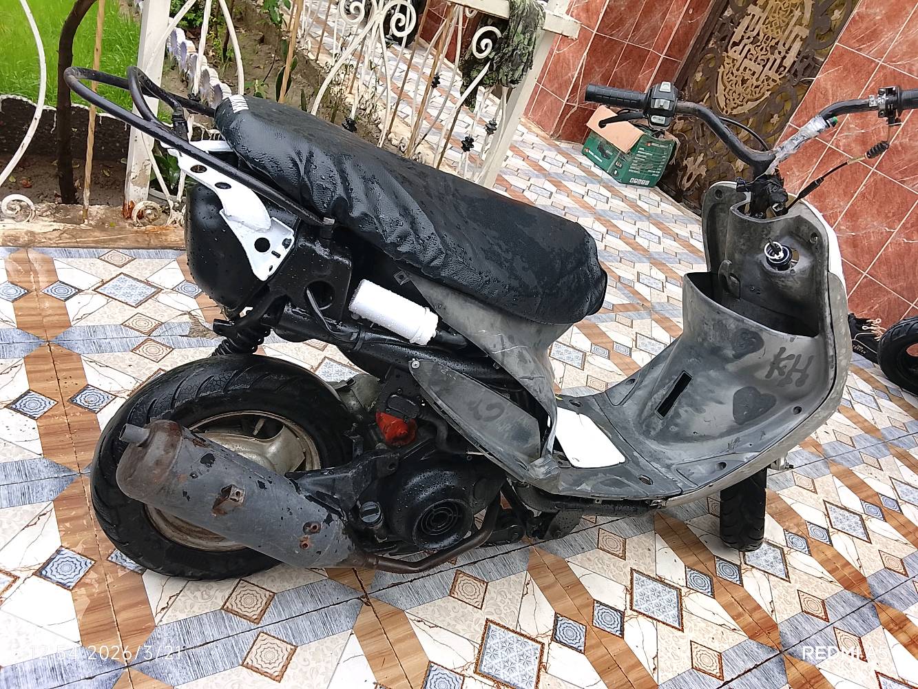 للبيع ماكس منغولي حربي مكينه ناعمه وتخبل وبسعر مناسب مكاني حله شاوي قرب غرفت التجاره رقم ***********