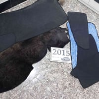 شمسيات • فرشه دشبول • ناصريه مركز