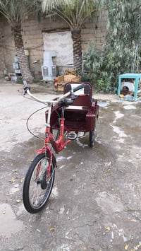 باسكل ياباني • جديد • نجف لاشرف