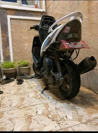 ماكس • عدله • سبع ابكار