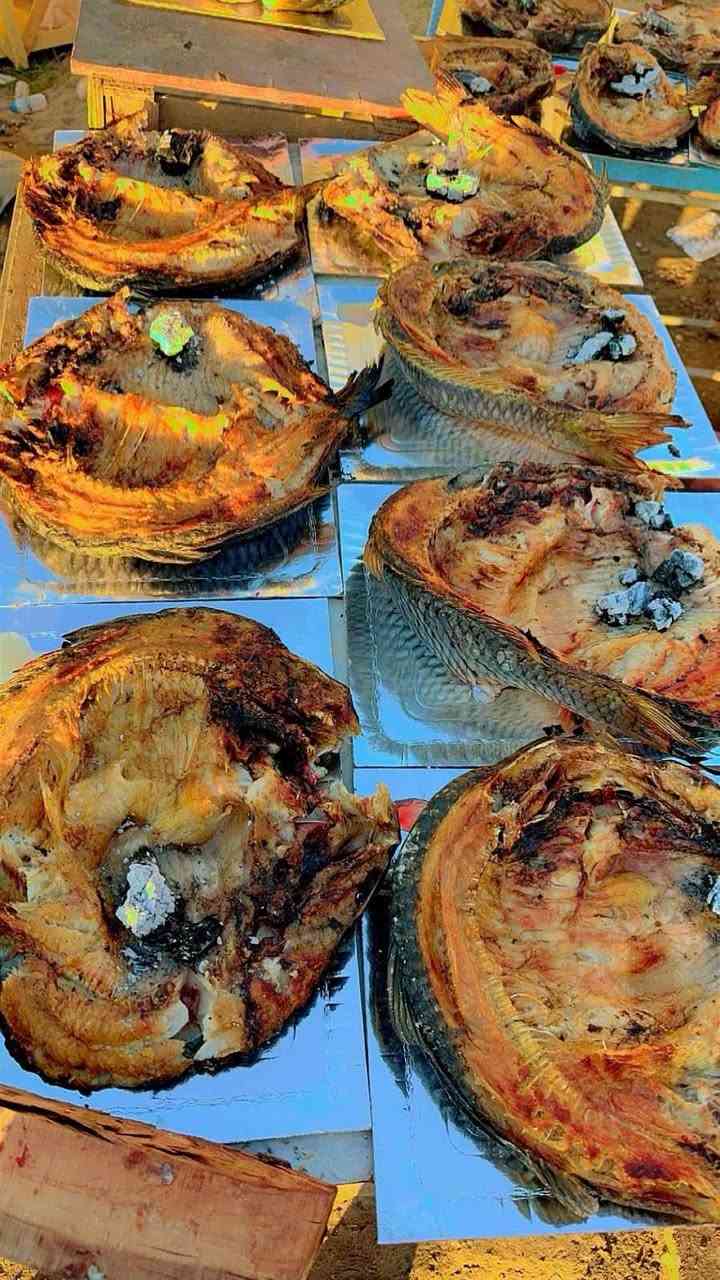 مطعم و ألعاب دجله السياحي
عرض؛ لمدة ثلاثه ايام
السمك المسكوف

بـ 6 الاف ونص فقط للكيلو

 1- كيلو سمج مسكوف 6.500 ألاف 
2- كيلو وربع سمج مسكوف 8.500 الاف 
3- كيلو ونص سمج مسكوف 10.000 الف 
4- كيلوين الا ربع سمج مسكوف 12.000 ألف 
5- كيلوين سمج مسكوف 13.000 ألف 
6- كيلوين وربع سمج مسكوف 15.000 ألف
7- كيلوين ونص سمج مسكوف 16.500 ألف

احجز هسه قبل لا يخلص العرض 📞

يوجد توصيل لكل مناطق قضاء الطارميه 

للحجز:
🔥
هـ/ ***********
***********
