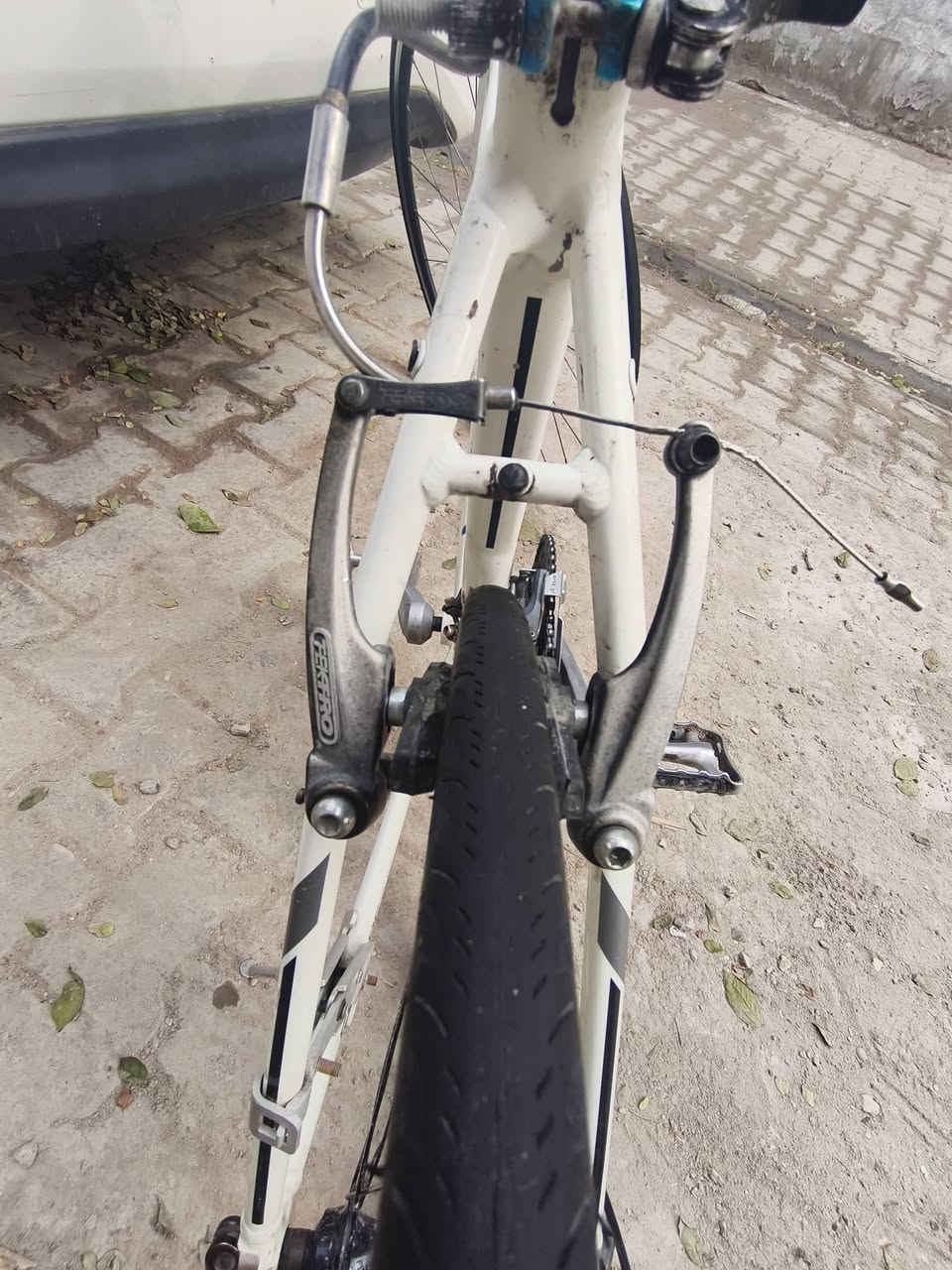 بايسكل GIANT
ESCAPE RX 
المنيوم ريشه 
حجم S 
سستم التوس حديث 3*9 
بريكات تكترو 
تايرات كندا جدد
البايكسل كله مختم ستيرن جاينت قبضات جاينت 
مكاني بغداد جسر الكريعات 
السعر 165 الف بي مجال بسيط
فقط بيع بدون مراوس
تواصل ***********
