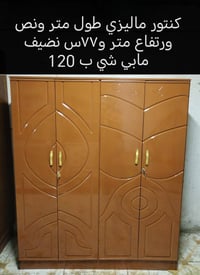 كنتور ماليزي • ١.٥م • ١.٧٧م