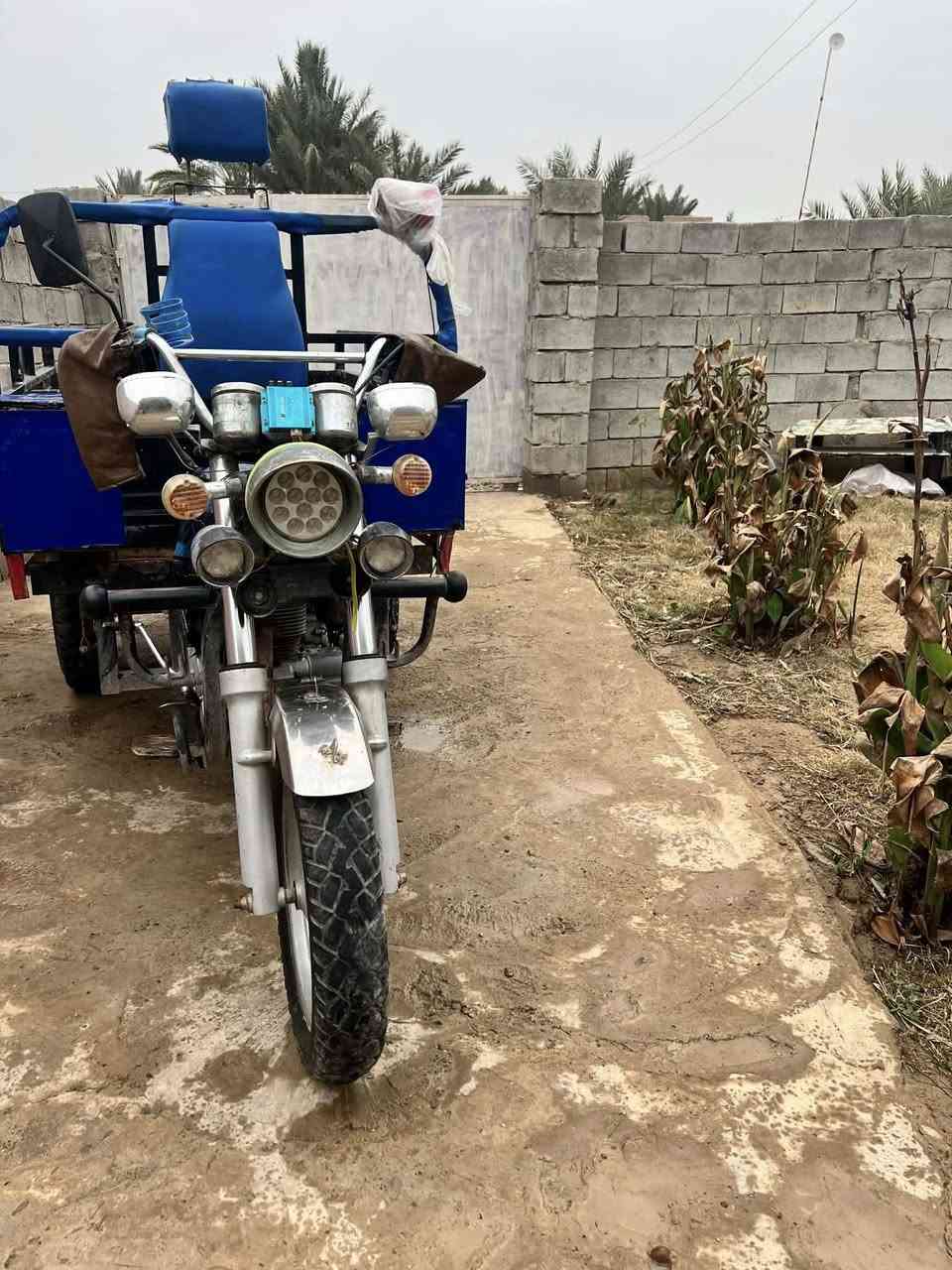 متاح ستوته لبيع فحل موديل 20وراق كامل مكمل لي ريده اني بخدمته ***********
