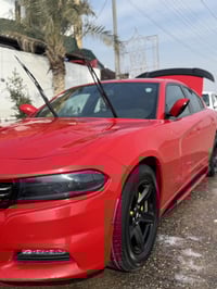 لبيع ومراوس بوبامه 07721175619