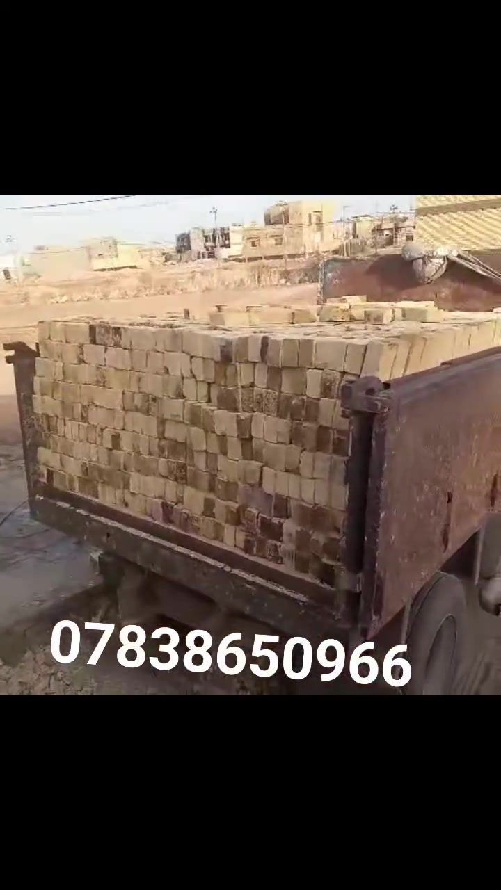 طابوك شرط عل مكلاب لون وقوه وقلب 4000 وزياده انتصال بيك خير ودلال والسعر حسب مكانك ***********
***********
واتساب
