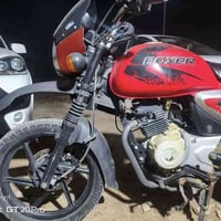 بوكسر هندي • موديل ٢٠٢٣ • اوراق اصلية