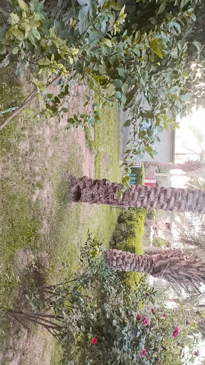 دار لبيع مساحته دونم مع بستان 5 دوانم
موقعه/ ديالى(قضاء الخالص ابو تمر)
ملكيته/عقد 35 صرف
السعر خاص على الرقم ***********
واتساب على ***********
