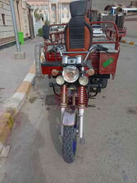 ستوته أم طير • أوراق كاملة • محرك ٢٠٢٣