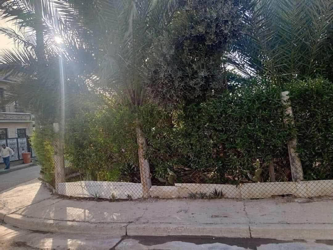 اعـــلان """"""للبيــــع

بيت كلاسك مساحة 200 متر//واجه 10 ///نزال 20
مقابل تشجير يقع في حي الجهاد مربع النور بالقرب من مربع السمجة ...يحتوي البيت علــــى
4 غرف نوم 🏭🏭
2 صحيات 🏭🏭
حديقة 🏭🏭
كراج 🏭🏭
مطبخ 🏭🏭
حولي كبير 🏭🏭
صالة ظيوف كبيرة 🏭🏭

للاستفسار مراسلة الصفحة او الاتصال

على الارقام واتساب

☎️ ***********

☎️***********

زورو موقعنا ((مــكتــب بــاب الحــارة)) في حي الجهاد مقابل ((جامـــع النــور))ومجاور(( الاطباء والخارجيه)) يوجد كافة العروضات وكافة المساحات للـــدور والاراضـــي
بإدارة 《《السيد ابو انس 》》🇮🇶🇮🇶
《《موقع المكتب 》》
https://maps.app.goo.gl/6xEom8mKepEY5pcb6?g_st=ac

