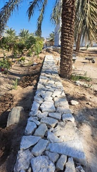 ديكور منزل • حديقة