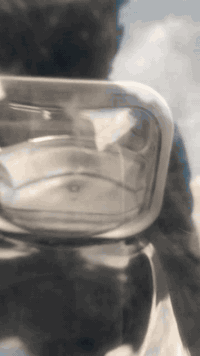 السلام عليكم دراجه شحن للبيع نضيفه السعر ٣٥٠وبيهة مجال  العلوان بغداد مدينة الصدر  هاذه رقمي ***********
