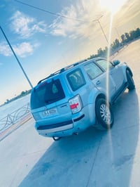 مير كوري • ٢٠٠٨ • رقم دهوك