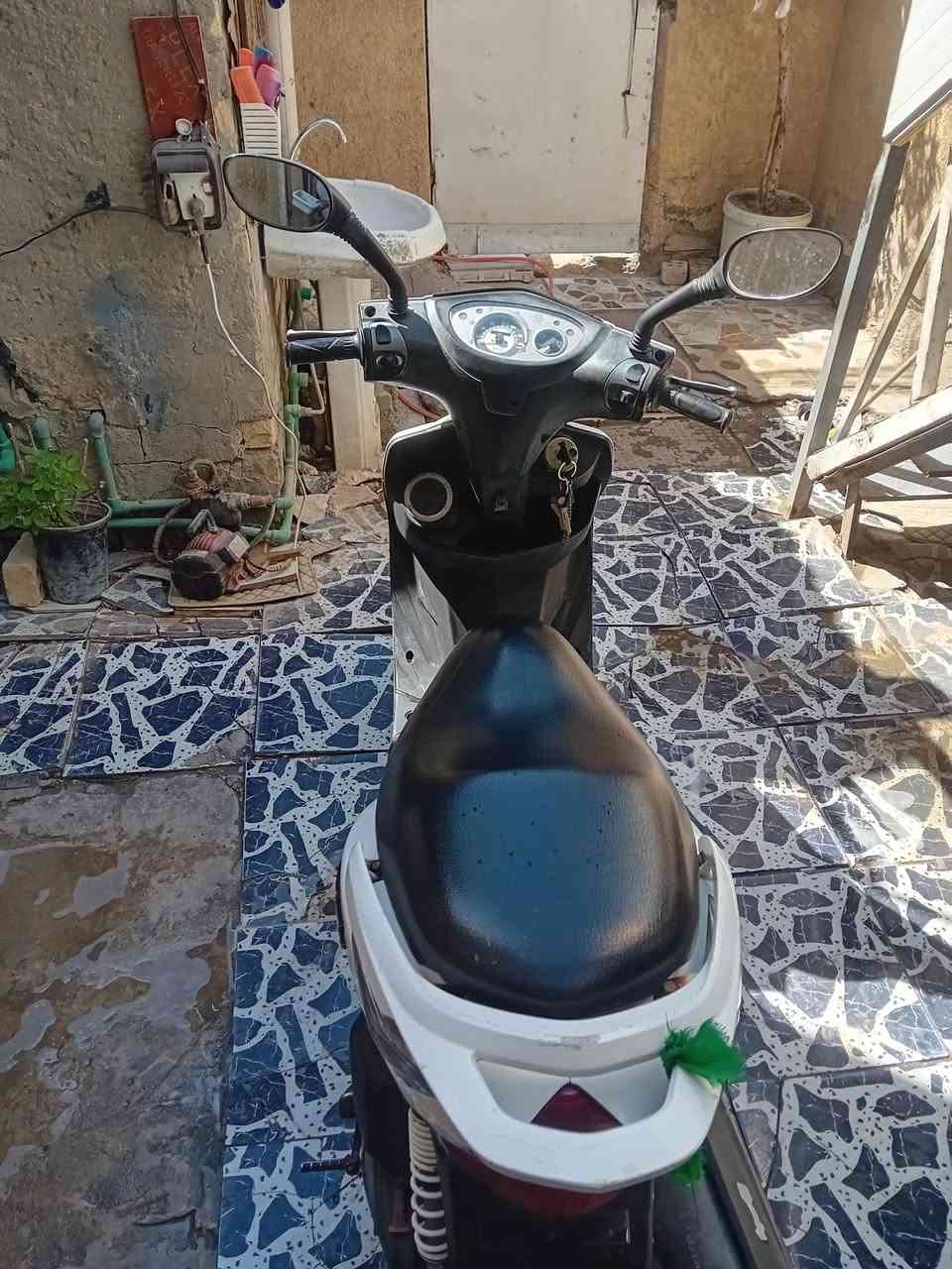 دراجة ماكس ثعلب GTR دراجة نازلة من رمبة قبل  شهر  تقريبا جيب فيتر وتعال نكر بكل وقت كهرباءيات اشاير قفل جوزه قفل جنطه  دبلات  الدراجة خير من الله محرك بلادي ناعمة كلش مكان بغداد /جكوك/الكاظمية 
السعر 750 🔐. *********** متوفر واتساب واتصال
