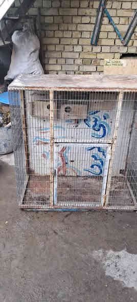 سلام عليكم قفص حديد تسكام -مال طيور الحب-العنوان-بلديات-السعر-50-الرقم-***********
