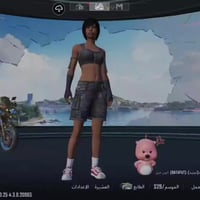 حساب ببجي • مستوى ٧٠ • ٢٦ سلاح