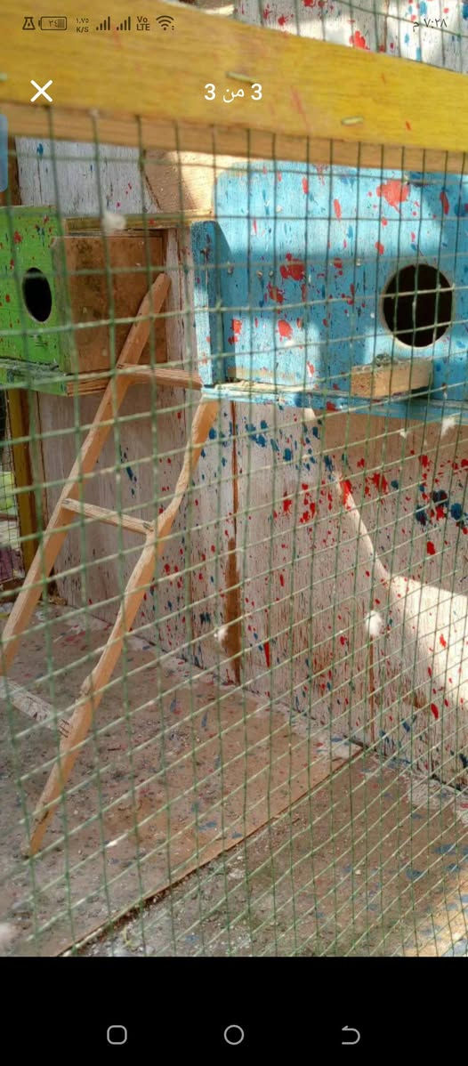 قفص للبيع 
سعر ٣٠ الف
***********
حي سومر
