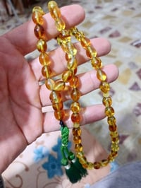 كهرب قديم • بحر البلطيق • أبو الحشرة