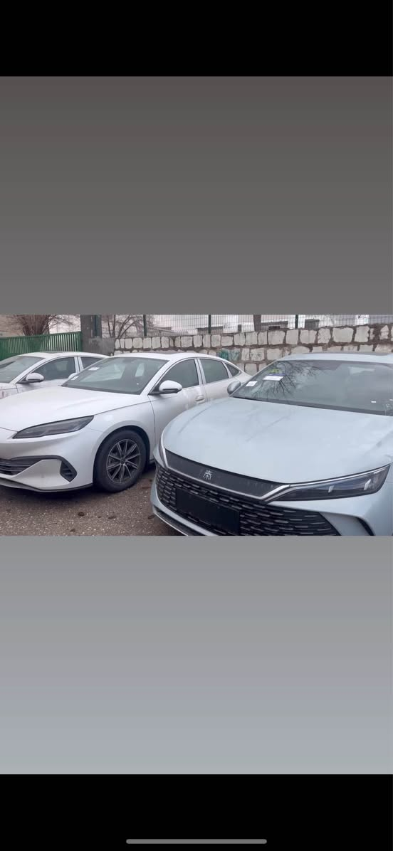 بيواى دى سيل ٠٦
بيواى دى كين L
سه ياره كان فولن پانوراماو پينچ كاميرا 
پاترى ١٢٠كيلومه تركامل ئه شياى له گه له 
گاعى به رگه كوشن شه عنى بيلادى كومپريسه رى هه وا
نرخى خوار بازار
*********** السليمانية, العراق
