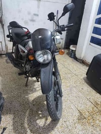 بوكسر • ٢٣ • مرقمه