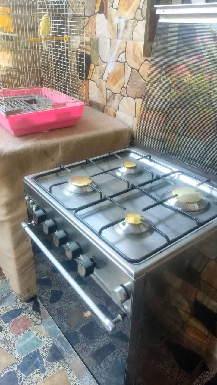 طباخ امبريال مصري نضيف فرن فوگ وجوه ناره زركه سعر 80 عنوان بغداد فلكه حي النصر قرب العبيدي لايوجد خدمة توصيل بغداد, العراق


**إذا كنت صاحب هذا الإعلان وتريد حذفه لأي سبب، رجاءا أرسل رسالة إلى الدعم الفني**