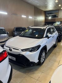 فروتلاندر سيني • ٢٠٢٥ • ١٩ ألف