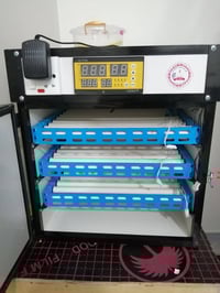 فقاسه ٢١٠ بيضه • مشتغله شهر • قضاء المدينه