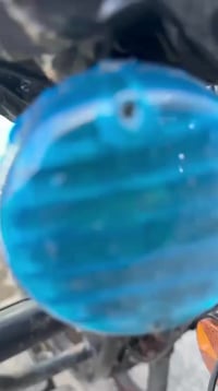 ستوته 2023 • أوراق أصلية • محرك 150