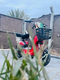 دراجة شحن • موديل ٢٠١٩ • مشروع المسيب