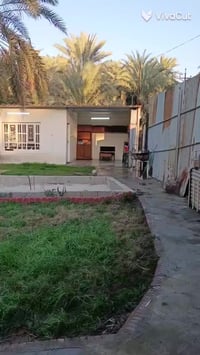 🌴 مزرعة للبيع أو المراوس 🌴 📐 المساحة: 1000 متر مربع 📍 الموقع: ركن مميز...