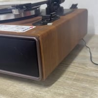 مشغل اسطوانات • سماعات مدمجة • صوت نقي