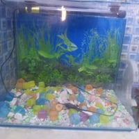 حوض سمك كامل من كلشي سعره 25 الف مكاني بل الحبيبيه رقم الموبايل 077097...