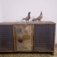 زوج طواير • قفل
